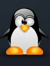 Linux 简史