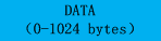 2.1.4 Data 数据域 - 图1